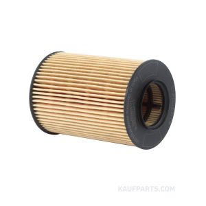 Elemento Filtro Aceite Hengst para Clase A y Clase B