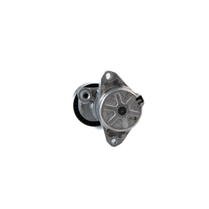 Tensor de Correa Peters para Mercedes-Benz Clase C, CL, CLC, CLK, CLS, Clase E, Clase G, GL, GLK, ML, Clase R, Clase S, SL, SLK, Sprinter, Viano, Vito
