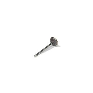 Valvula De Admision Mercedes Benz para Clase B, Citan