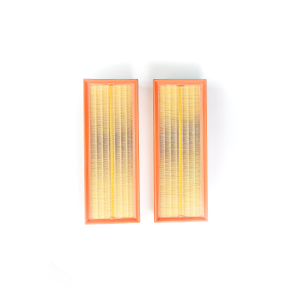 Ts Elemento Filtro Aire Snp17.Cl Original Para Mercedes Benz