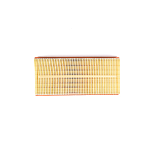 Elemento Filtro de Aire Mercedes-Benz para Clase G, GLS, Clase S y Mercedes Maybach